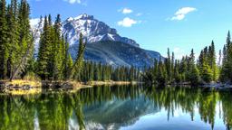 Finde günstige Flüge nach Alberta
