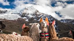 Hotels in Cusco