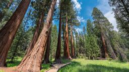 Ferienwohnungen in Sequoia National Park