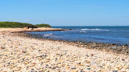 Hotels in Long Island