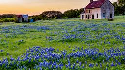 Finde günstige Flüge nach Texas
