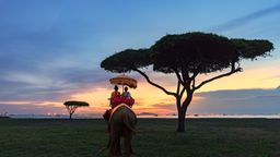 Finde g&uuml;nstige Fl&uuml;ge nach Phuket