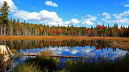 Ferienwohnungen in Muskoka, Parry Sound und Algonquin Park