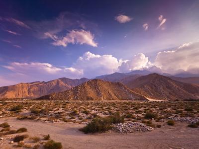 Palm Desert