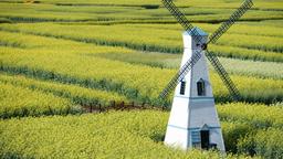 Finde günstige Flüge nach China