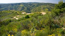 Hotels in Orange County