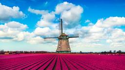Hotels in Niederlande