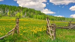 Finde günstige Flüge nach Colorado