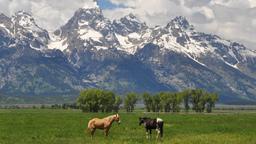 Hotels in der Nähe von: Jackson Hole Flughafen