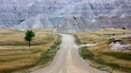 Finde günstige Flüge nach South Dakota