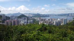 Finde günstige Flüge nach Hongkong