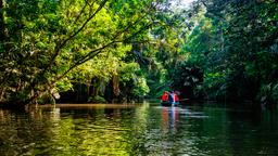 Tortuguero Hotelverzeichnis