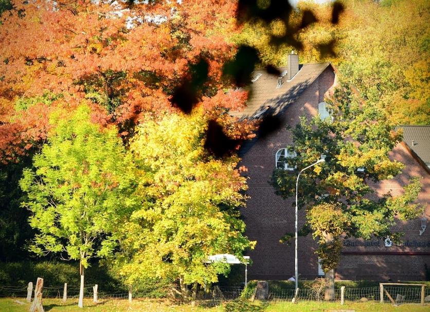 Außenansicht Foto