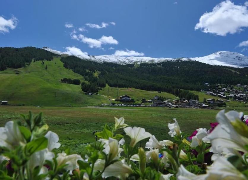 Außenansicht Foto