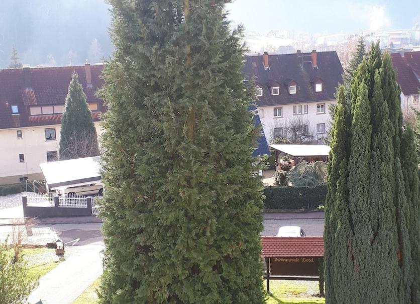 Außenansicht Foto