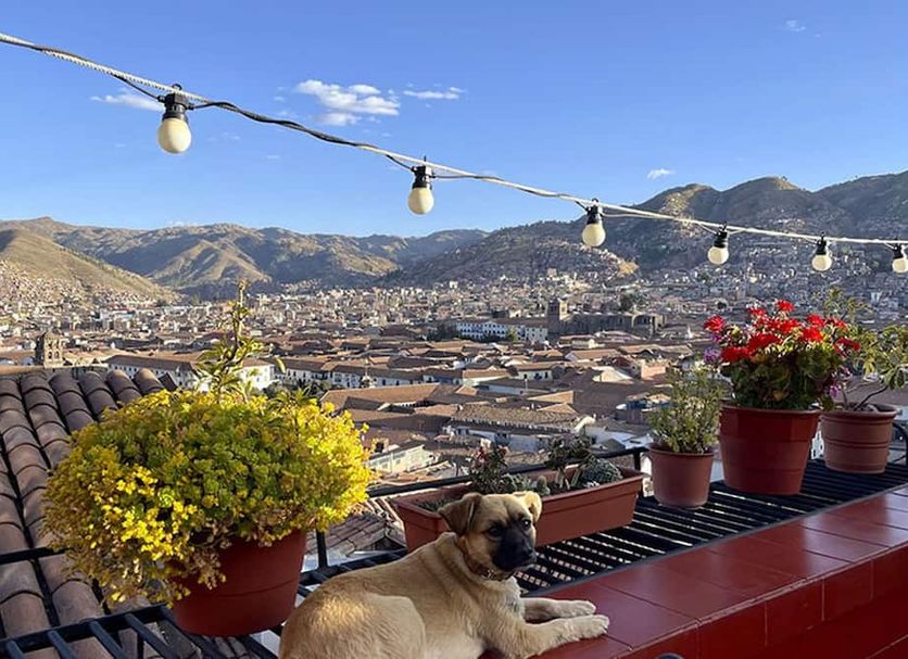Balkon Foto