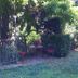 Sonstige