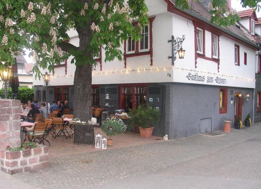 Sonstige Foto