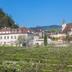 Sonstige