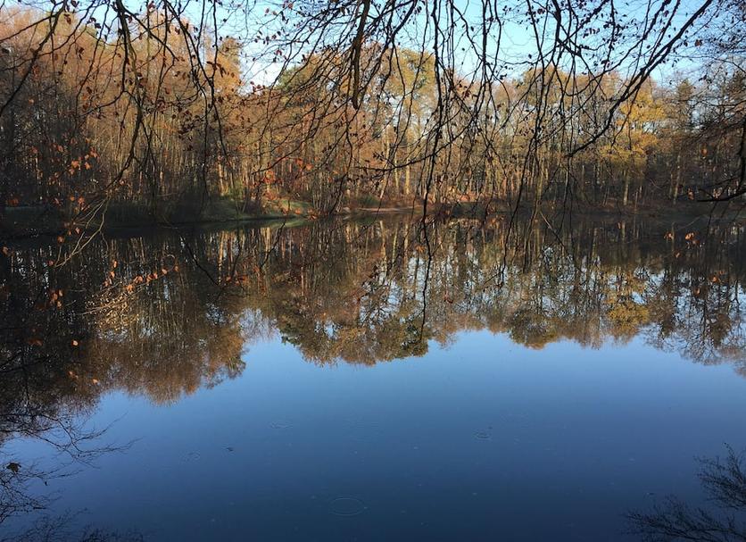 Außenansicht Foto