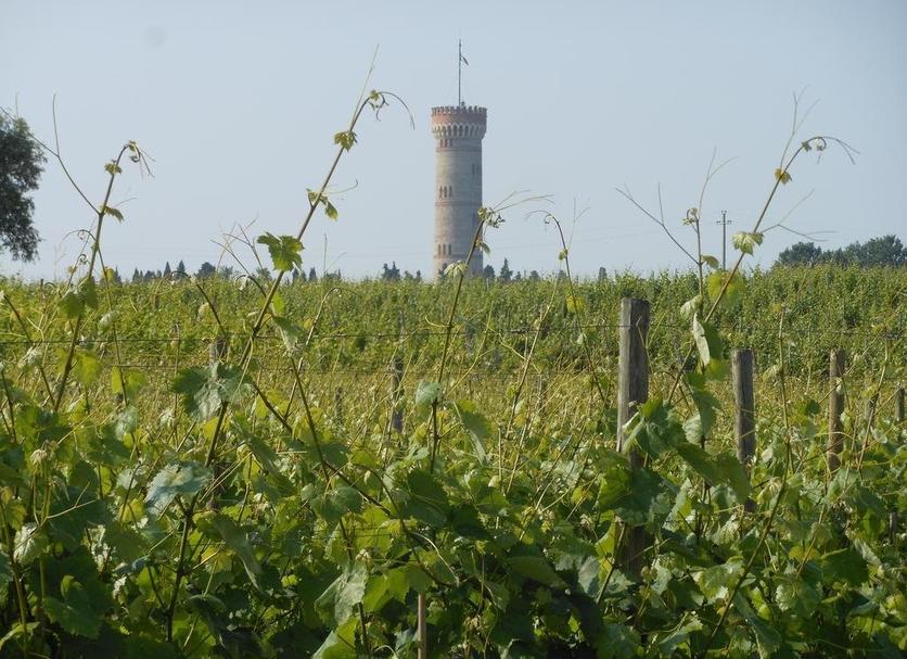 Außenansicht Foto