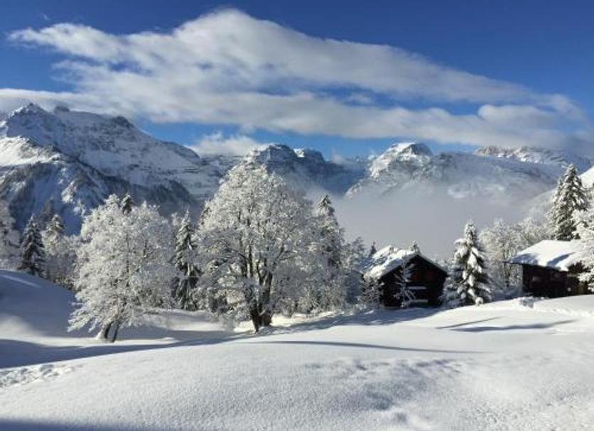 Außenansicht Foto