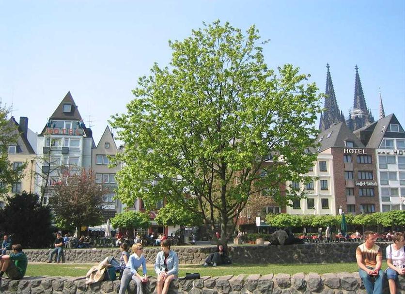 Außenansicht Foto