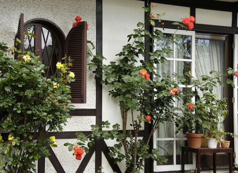 Außenansicht Foto