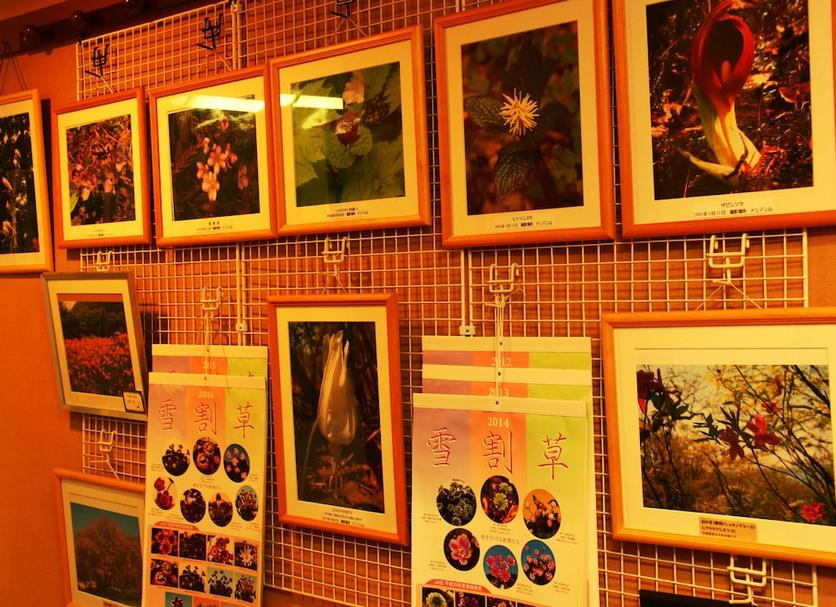 Hotelausstattung Foto