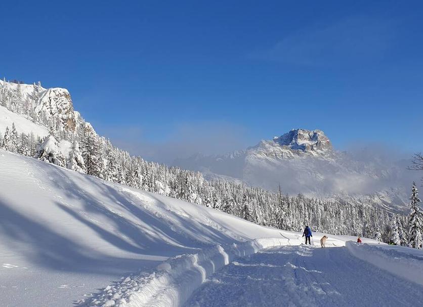 Außenansicht Foto