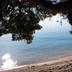 Sonstige