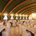 Bankettsaal