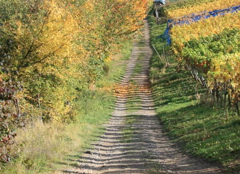 Außenansicht Foto