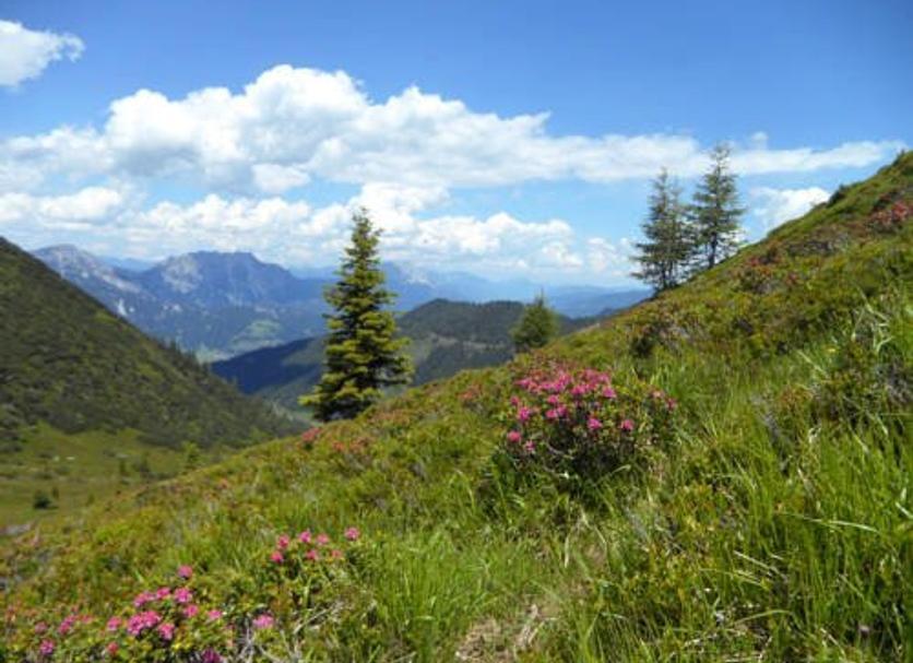 Außenansicht Foto