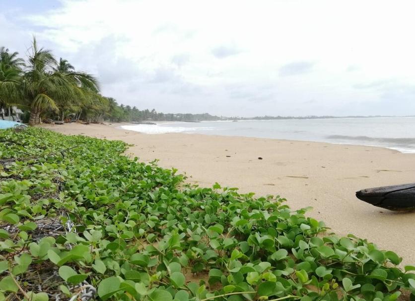 Strand Foto