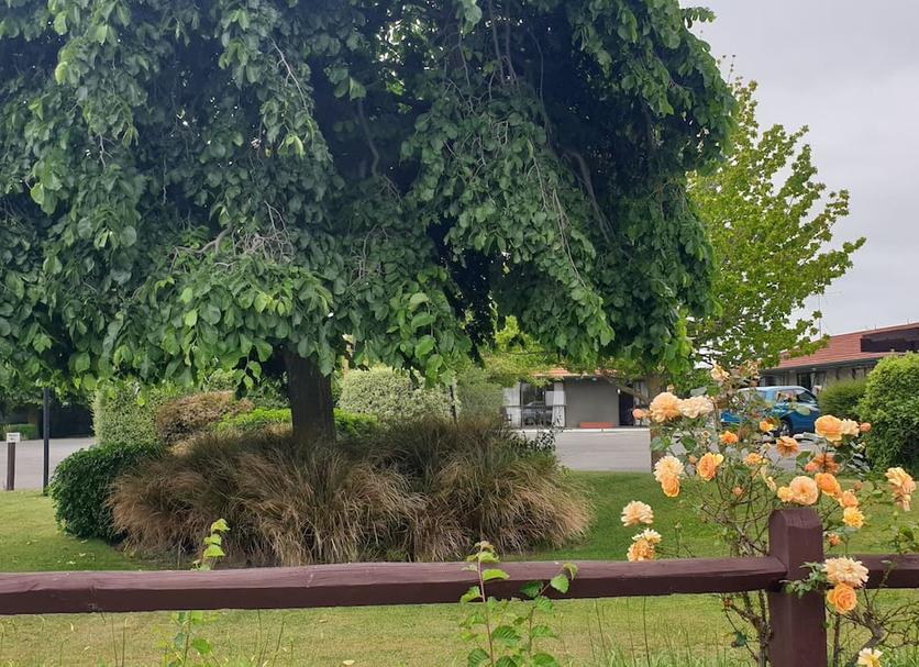 Außenansicht Foto