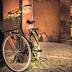 Sonstige