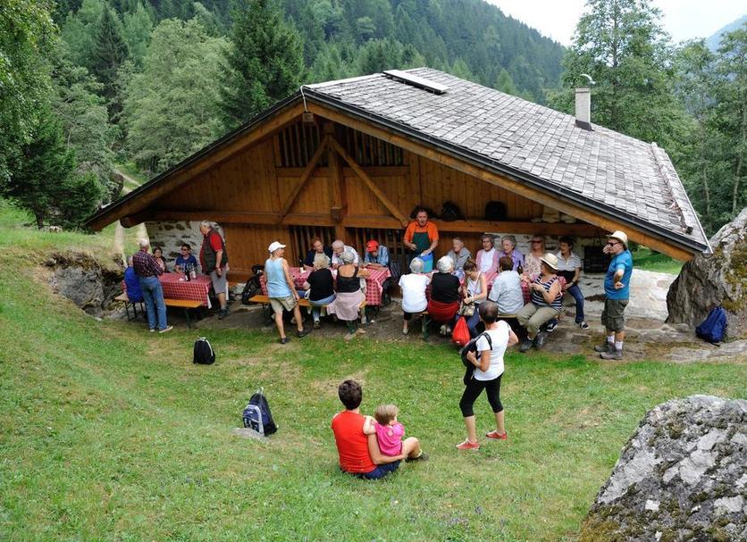 Sonstige Foto