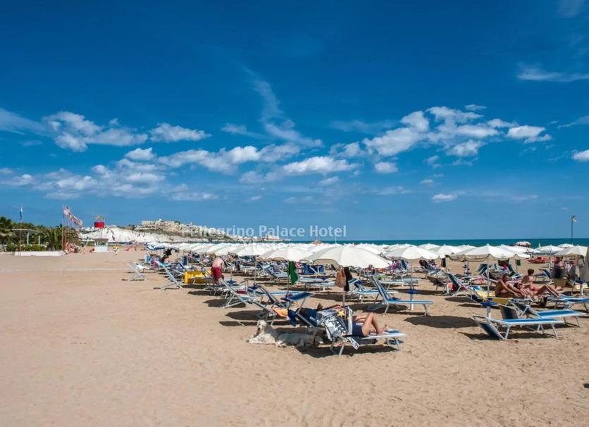 Strand Foto