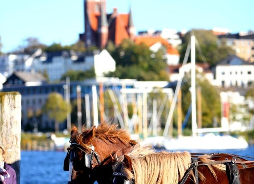 Sonstige Foto