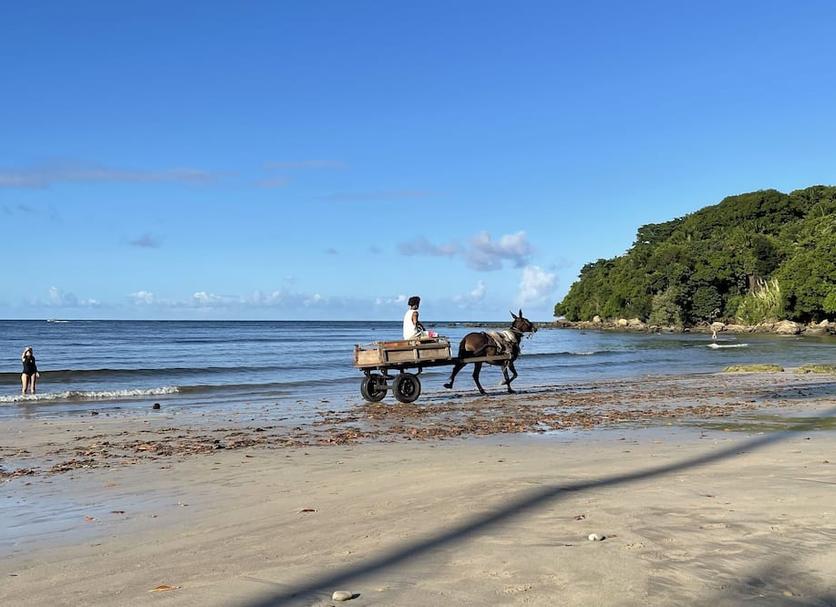 Strand Foto