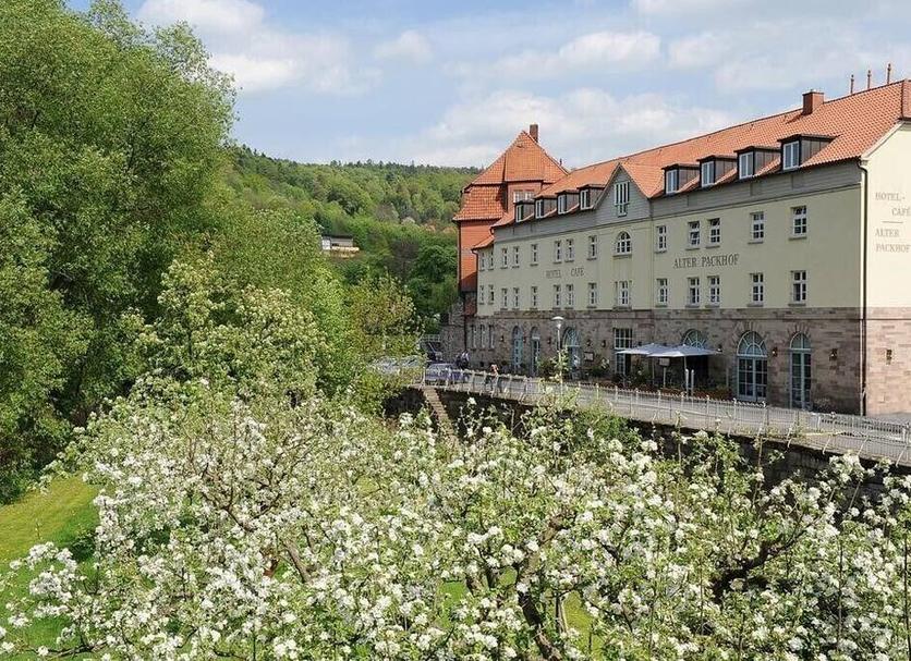 Sonstige Foto