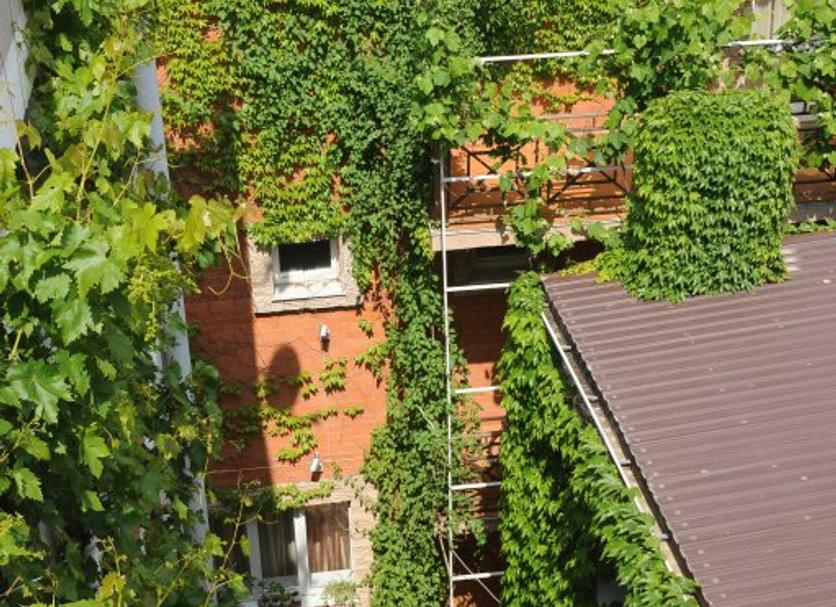 Außenansicht Foto