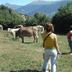 Sonstige