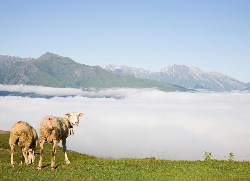 Außenansicht Foto