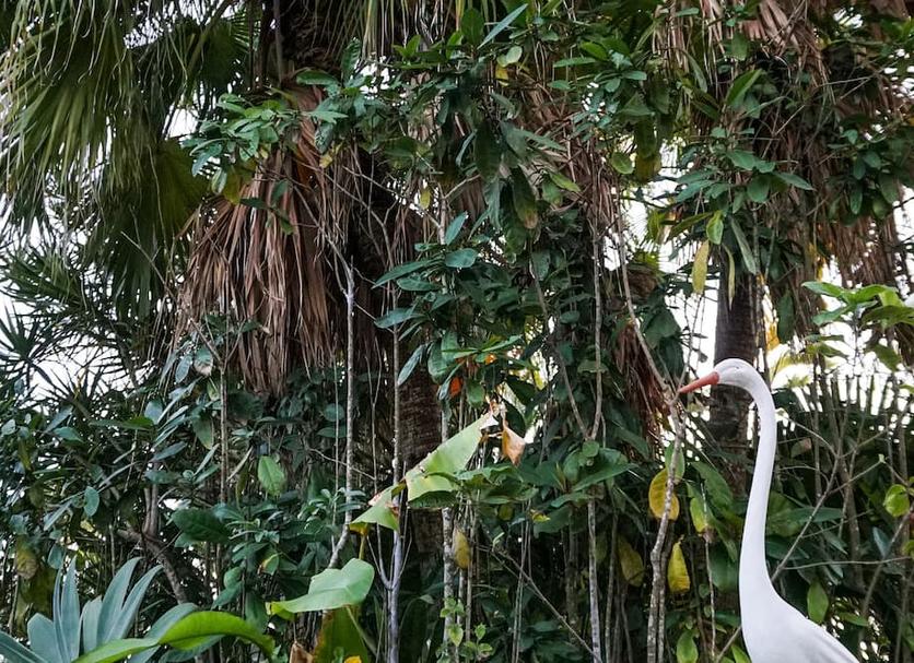 Außenansicht Foto