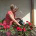 Sonstige