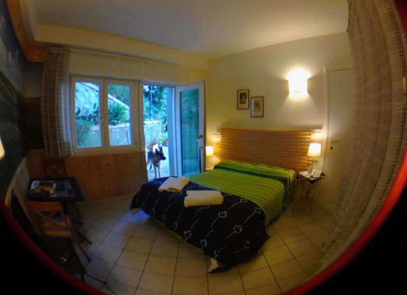 Sonstige Foto