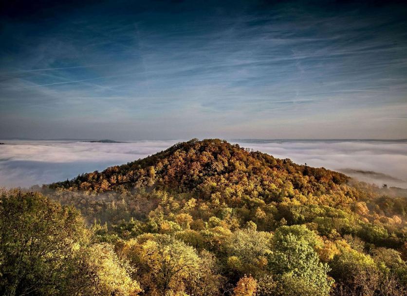 Außenansicht Foto
