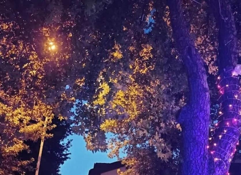 Außenansicht Foto